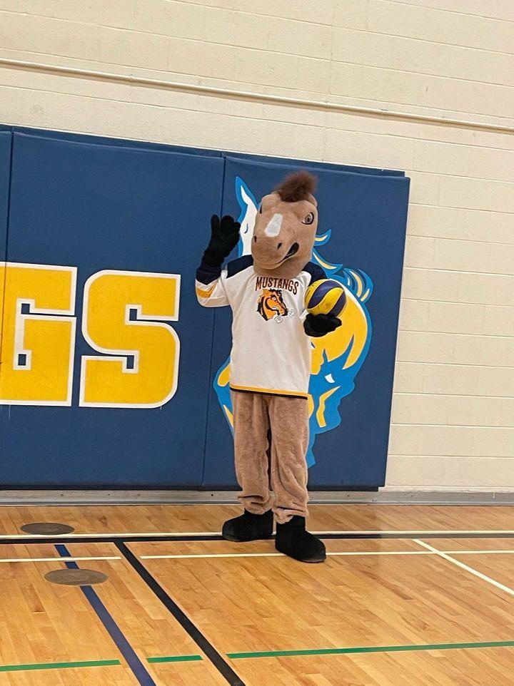 A person wearing a horse mascot costume with a white Mustangs jersey standing in a gymnasium